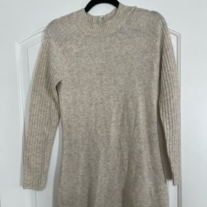 Fitted Sweater Dress